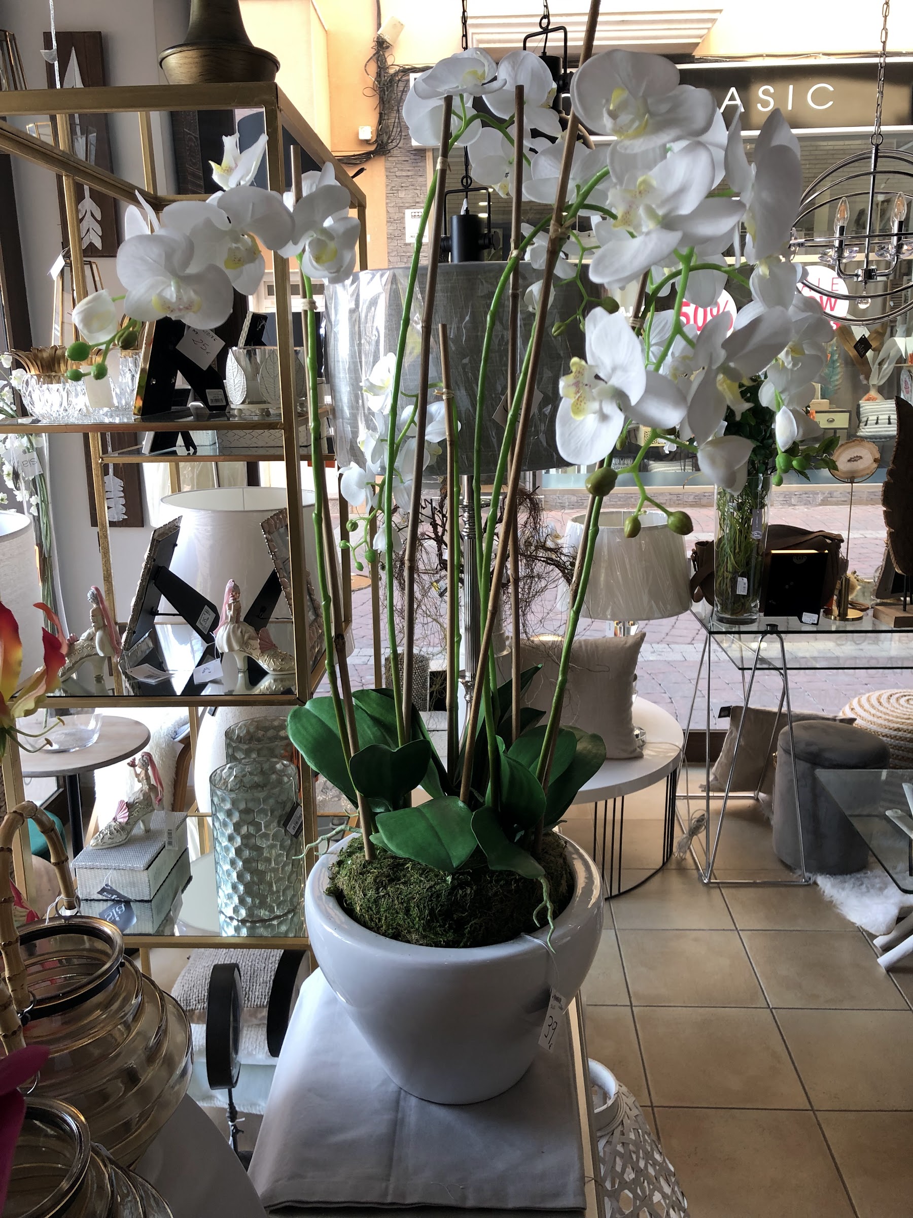 Orquídeas y piezas de cristal en el interior de la tienda