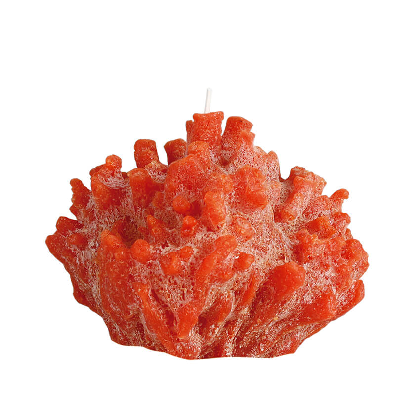 Vela con forma de coral en color rojo